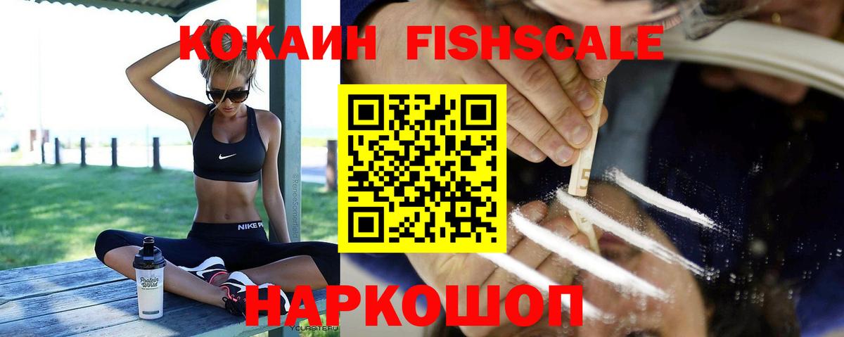 Cocaine Fish Scale  Вход с VPN  Тында 