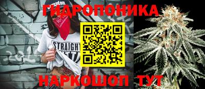 прущие грибы Ирбит