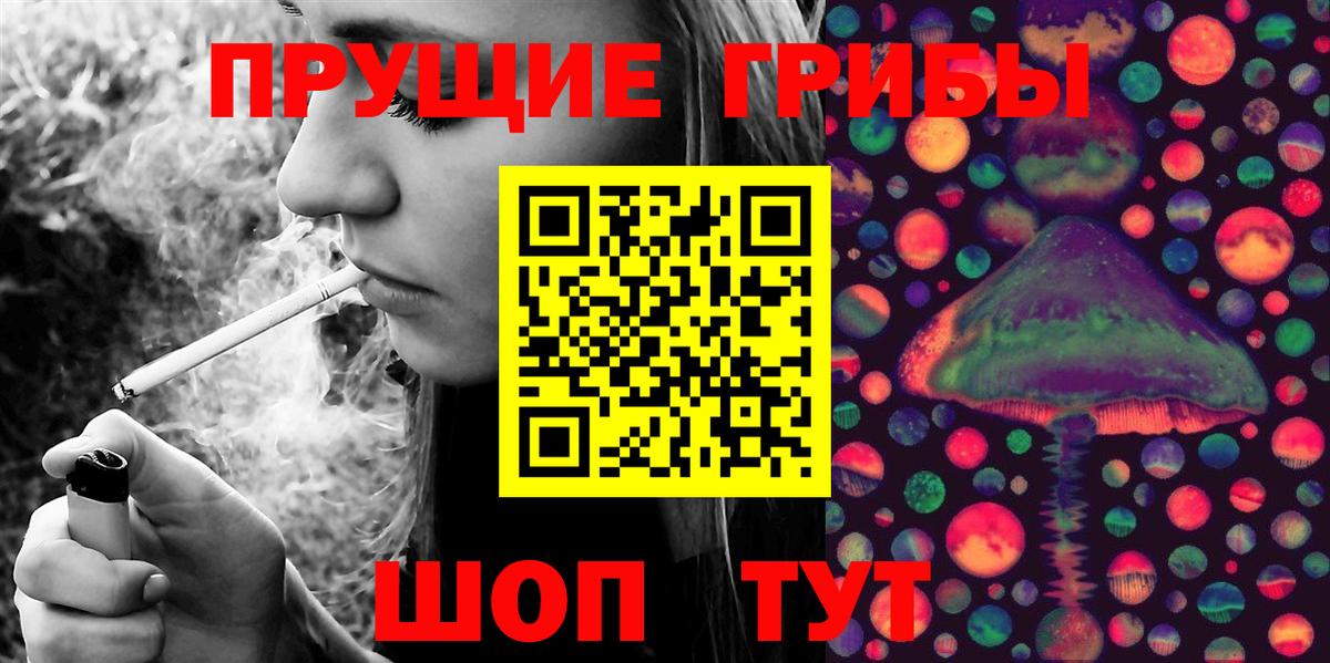 Галлюциногенные грибы мицелий  Псилоцибиновые грибы MAGIC MUSHROOMS  Вход с VPN  Тында 